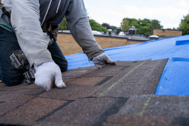 Best Roof Insulation Installation  in Seven Corners, VA